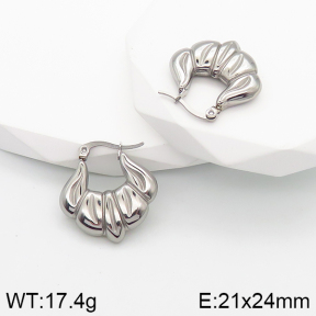Stainless Steel Earrings  5E2003138bbov-259