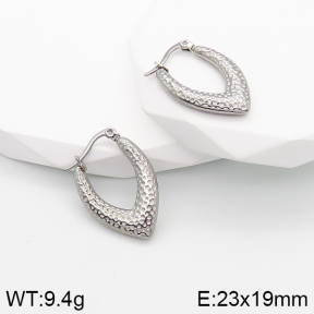 Stainless Steel Earrings  5E2003140vbnb-259