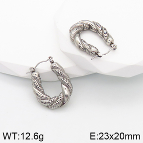 Stainless Steel Earrings  5E2003144bbov-259