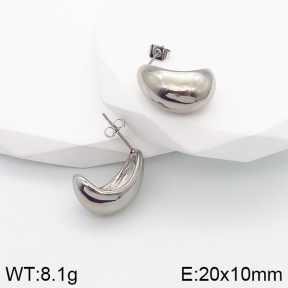 Stainless Steel Earrings  5E2003146vbnb-259