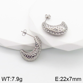 Stainless Steel Earrings  5E2003148vbnb-259