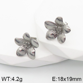 Stainless Steel Earrings  5E2003150vbnb-259