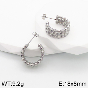 Stainless Steel Earrings  5E2003152bbov-259
