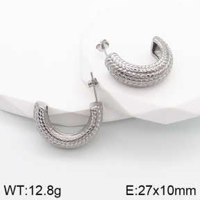 Stainless Steel Earrings  5E2003154bbov-259