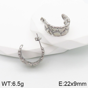 Stainless Steel Earrings  5E2003156bbov-259