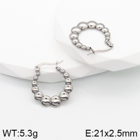 Stainless Steel Earrings  5E2003158vbnb-259