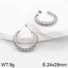 Stainless Steel Earrings  5E2003160bbov-259