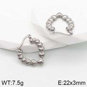 Stainless Steel Earrings  5E2003162vbnb-259