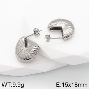 Stainless Steel Earrings  5E2003164vbnb-259