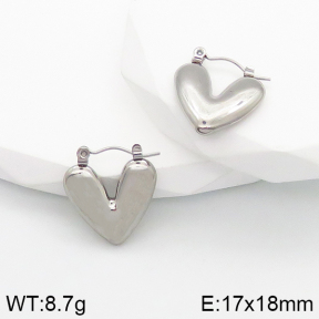 Stainless Steel Earrings  5E2003166vbnb-259