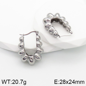 Stainless Steel Earrings  5E2003168bbov-259