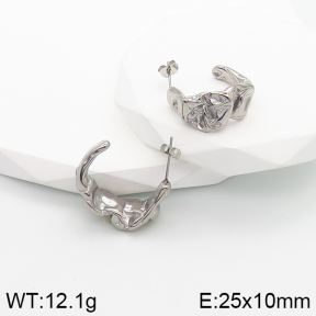 Stainless Steel Earrings  5E2003170bbov-259