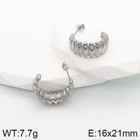 Stainless Steel Earrings  5E2003172bbov-259