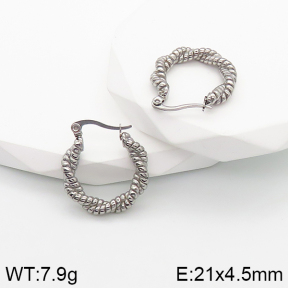 Stainless Steel Earrings  5E2003174bbov-259