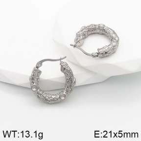 Stainless Steel Earrings  5E2003176bbov-259
