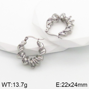 Stainless Steel Earrings  5E2003178bbov-259