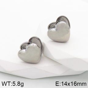 Stainless Steel Earrings  5E2003182bbov-259