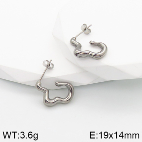 Stainless Steel Earrings  5E2003184vbnb-259