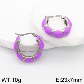 Stainless Steel Earrings  5E3001312bhva-259