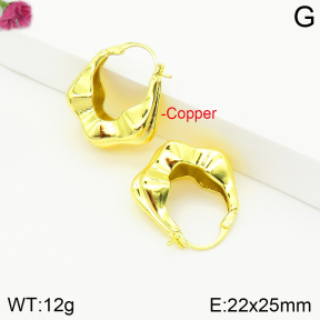 Fashion Copper Earrings  F2E200459vbnl-J142