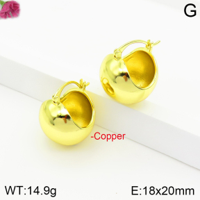 Fashion Copper Earrings  F2E200462vbnb-J142