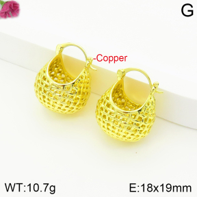 Fashion Copper Earrings  F2E200468vbnb-J142
