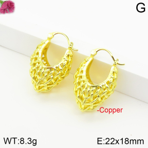 Fashion Copper Earrings  F2E200471vbnl-J142