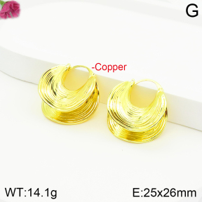 Fashion Copper Earrings  F2E200473bbov-J142