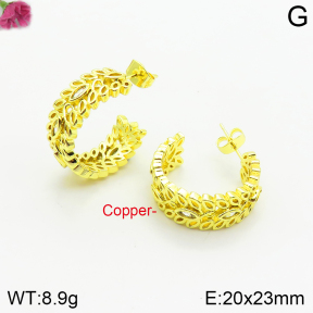 Fashion Copper Earrings  F2E200480abol-J142