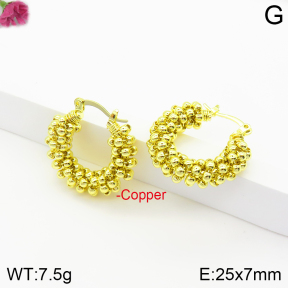 Fashion Copper Earrings  F2E200485bvpl-J142