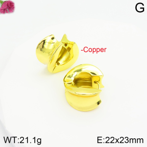 Fashion Copper Earrings  F2E200489bhva-J142