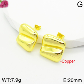 Fashion Copper Earrings  F2E200491bbml-J142