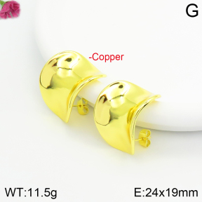 Fashion Copper Earrings  F2E200495vbnb-J142