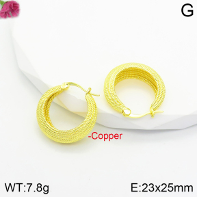 Fashion Copper Earrings  F2E200498vbnb-J142