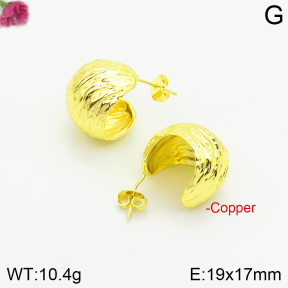 Fashion Copper Earrings  F2E200511vbnb-J142