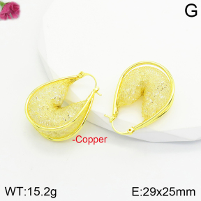 Fashion Copper Earrings  F2E401063vbpb-J142