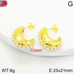Balenciaga  Fashion Copper Earrings  PE0174606vbnb-J142