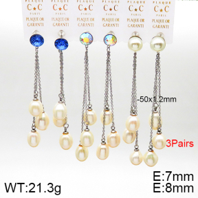 Stainless Steel Earrings  5E3001315vkla-658