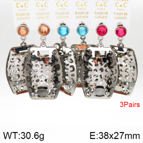 Stainless Steel Earrings  5E4002591aivb-658