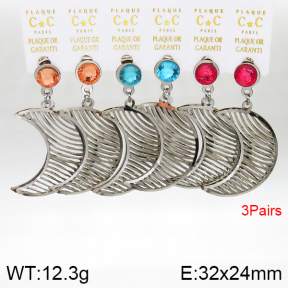 Stainless Steel Earrings  5E4002592aivb-658