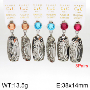 Stainless Steel Earrings  5E4002593aivb-658