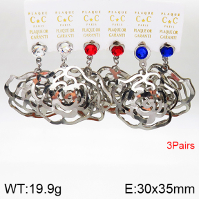 Stainless Steel Earrings  5E4002595aivb-658