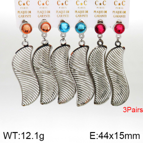 Stainless Steel Earrings  5E4002599aivb-658