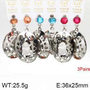 Stainless Steel Earrings  5E4002600aivb-658