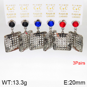Stainless Steel Earrings  5E4002603ahlv-658