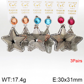 Stainless Steel Earrings  5E4002611aivb-658