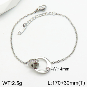 Stainless Steel Bracelet  2B4002830vbnl-650