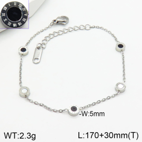 Stainless Steel Bracelet  2B4002846vbnl-650