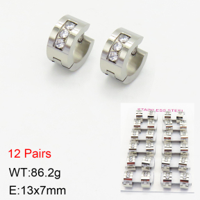 Stainless Steel Earrings  2E4002564amaa-387