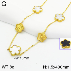 Stainless Steel Necklace  2N3001355vhha-669
